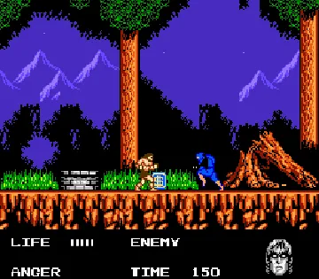 Werewolf - The Last Warrior (USA) screen shot game playing